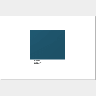 PANTONE 19-4127 TCX Midnight Posters and Art